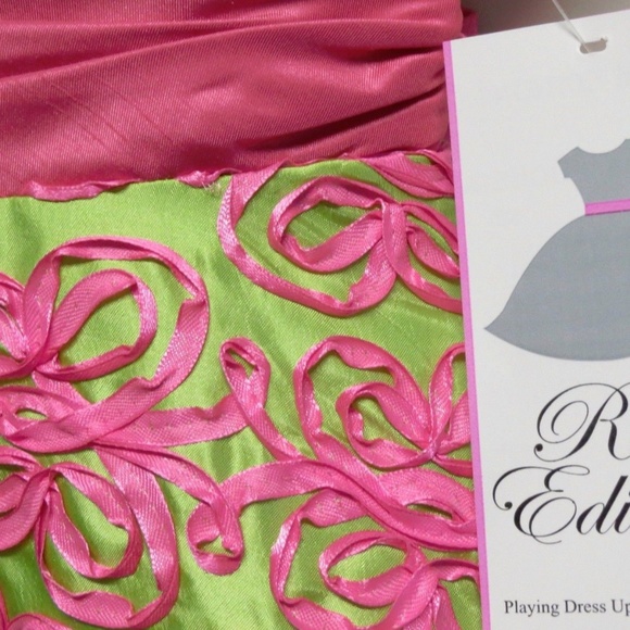 Rare Editions Soutache Bonaz Taffeta A-line Special Occasion Dress Pink Green 2T - Picture 5 of 12